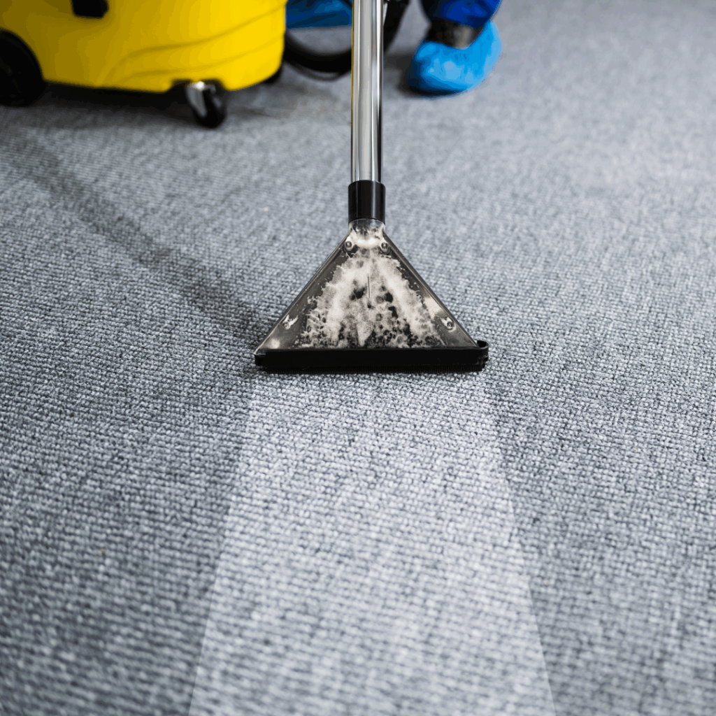 Carpet Cleaning Services